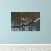 Bald Adler im Flug Leinwanddruck (Insitu (Holzboden))