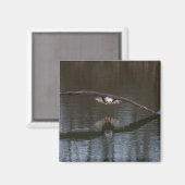 Bald Adler im Flug Magnet (Vorderseite/Rückseite)