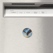 Bald Adler im Flug Magnet (In Situ (Geschirrspüler))