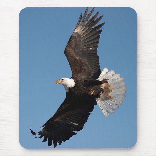 Bald Adler im Flug Mousepad (Vorne)