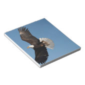 Bald Adler im Flug Notizblock (angewinkelt)