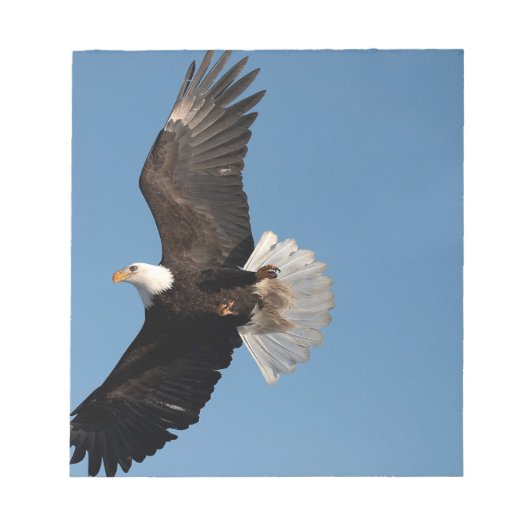 Bald Adler im Flug Notizblock (Vorderseite)