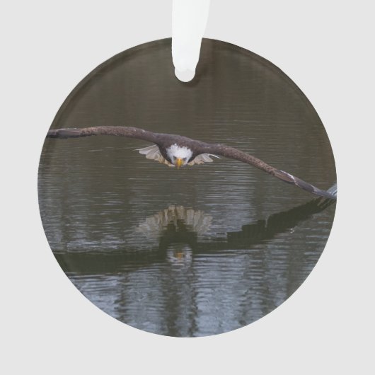 Bald Adler im Flug Ornament (Vorderseite)