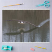 Bald Adler im Flug Seidenpapier (Basteln)