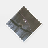 Bald Adler im Flug Serviette (Ecke)