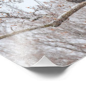 Bald Adler im Schnee Fotodruck (Ecke)