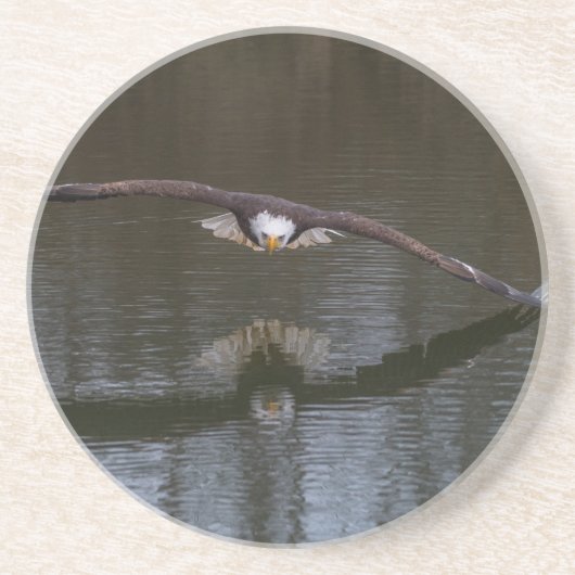 Bald Adler im Untersetzer (Vorne)