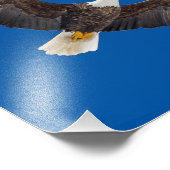 Bald Adler in blauem Himmel Fotodruck (Ecke)