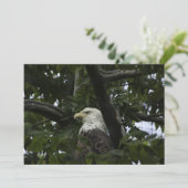 Bald Adler in einem Baum - flache Grußkarte Karte (Stehend Vorderseite)