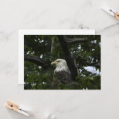 Bald Adler in einem Baum - flache Grußkarte Karte (Vorderseite/Rückseite Beispiel)