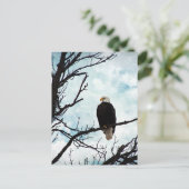 Bald Adler in einem Baum mit blauem Himmel und Wol Postkarte (Stehend Vorderseite)