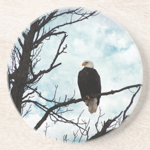 Bald Adler in einem Baum mit blauem Himmel und Wol Untersetzer