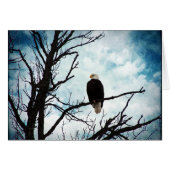 Bald Adler in einem Baum mit blauen Jeden Anlässen (Vorderseite (Horizontal))