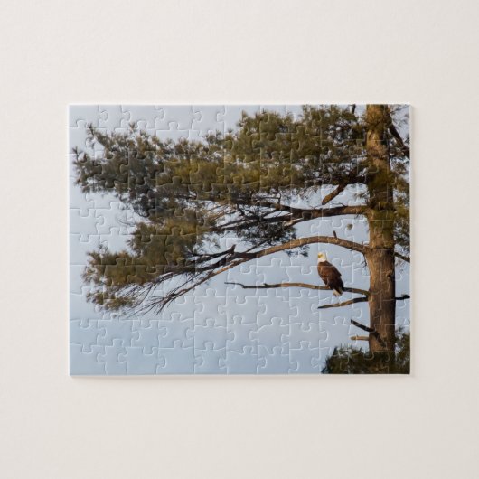 Bald-Adler in einem Kiefernbaum Puzzle (Horizontal)