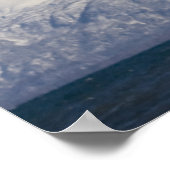 Bald Adler in Flight, Haliäetus leucocephalus, 3 Poster (Ecke)