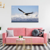 Bald Adler in Flight, Haliäetus leucocephalus, 4 Leinwanddruck (Insitu (Wohnzimmer))