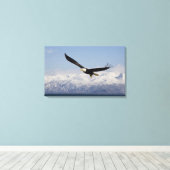 Bald Adler in Flight, Haliäetus leucocephalus, 4 Leinwanddruck (Insitu (Holzboden))