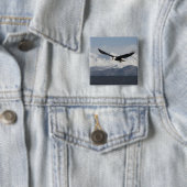 Bald Adler in Flight, Haliäetus leucocephalus, Button (Beispiel)