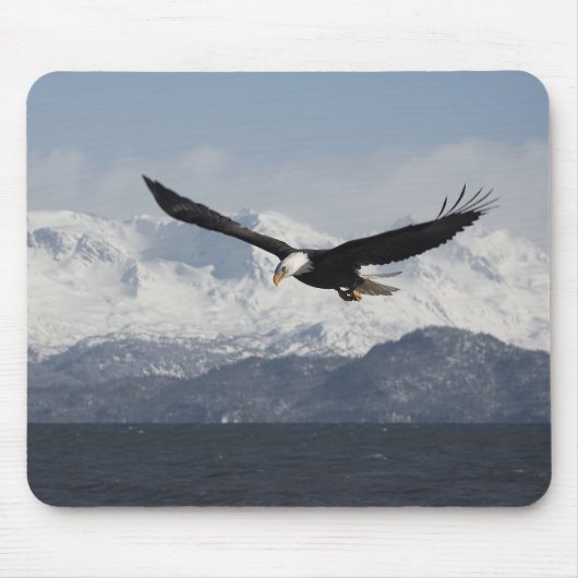 Bald Adler in Flight, Haliäetus leucocephalus, Mousepad (Vorne)