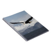 Bald Adler in Flight, Haliäetus leucocephalus, Notizblock (Rechte Seite)