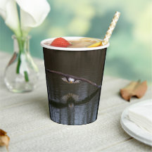 Bald Adler in Flight Paper Cups
