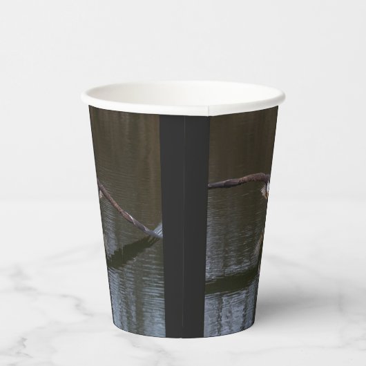 Bald Adler in Flight Paper Cups Pappbecher (Rechts)