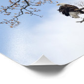 Bald Adler in Tulip Tree Fotodruck (Ecke)