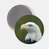 Bald-Adler-Kopfmagnet Magnet (Vorderseite/Rückseite)