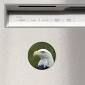 Bald-Adler-Kopfmagnet Magnet (In Situ (Geschirrspüler))