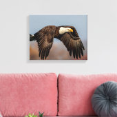 Bald-Adler Leinwanddruck (Insitu (Wohnzimmer))