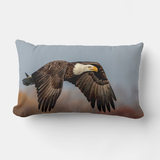 Bald-Adler Lendenkissen (Vorderseite)