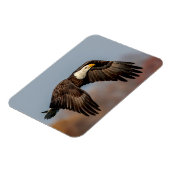 Bald-Adler Magnet (Linke Seite)