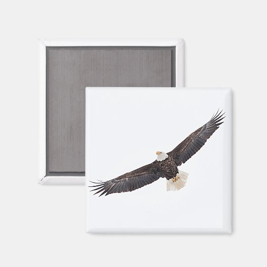 Bald-Adler Magnet (Vorderseite/Rückseite)