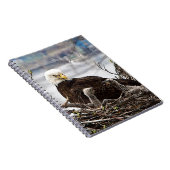 Bald-Adler mit Adlern Notizblock (Rechte Seite)
