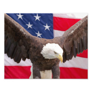 Bald Adler mit amerikanischer Flag Print Fotodruck