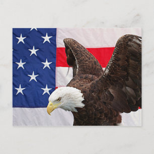 Bald Adler mit amerikanischer Flagge Postkarte