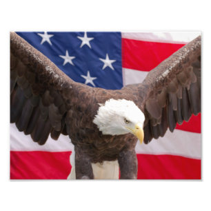 Bald Adler mit dem Puzzle der amerikanischen Flagg Fotodruck