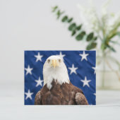Bald Adler mit den Sternen Postkarte (Stehend Vorderseite)