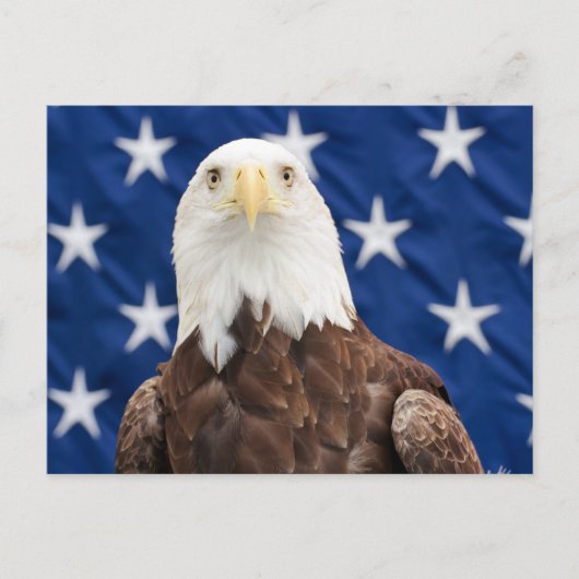 Bald Adler mit den Sternen Postkarte (Vorderseite)