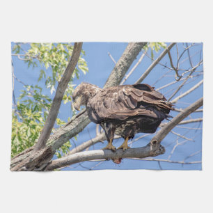 Bald-Adler mit Fisch Geschirrtuch