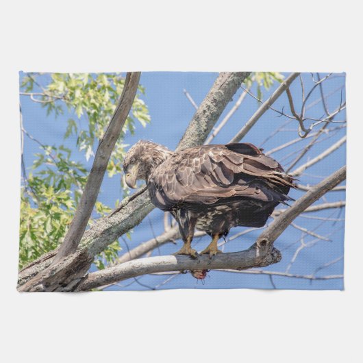Bald-Adler mit Fisch Geschirrtuch (Horizontal)