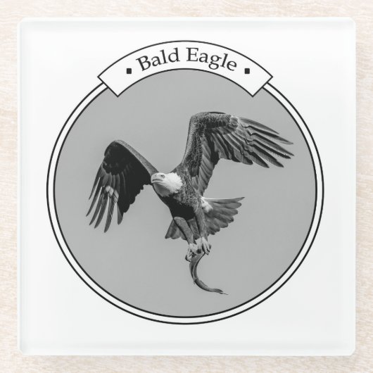 Bald-Adler mit Fisch Glasuntersetzer (Vorderseite)