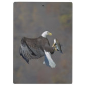 Bald-Adler mit Fisch Klemmbrett (Rückseite)