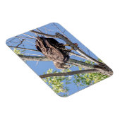 Bald-Adler mit Fisch Magnet (Rechte Seite)