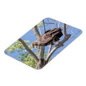 Bald-Adler mit Fisch Magnet (Linke Seite)