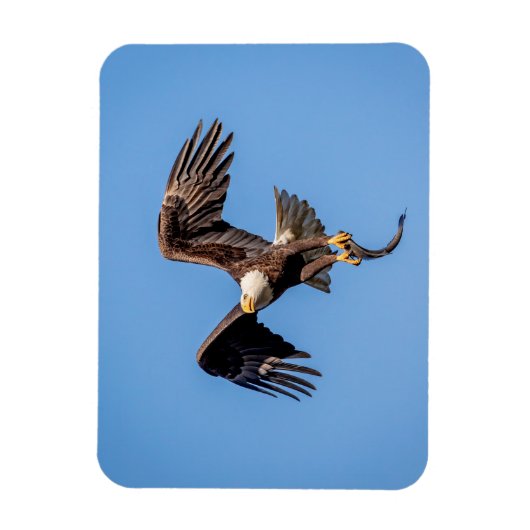 Bald-Adler mit Fisch Magnet (Vertikal)