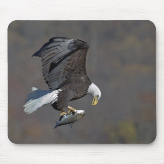 Bald-Adler mit Fisch Mousepad (Vorne)
