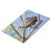 Bald-Adler mit Fisch Notizblock (angewinkelt)