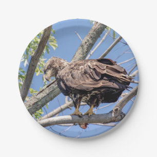 Bald-Adler mit Fisch Pappteller