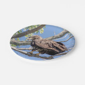 Bald-Adler mit Fisch Pappteller (Schrägansicht)